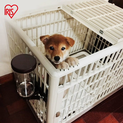 爱丽思狗窝笼子泰迪比树脂猫