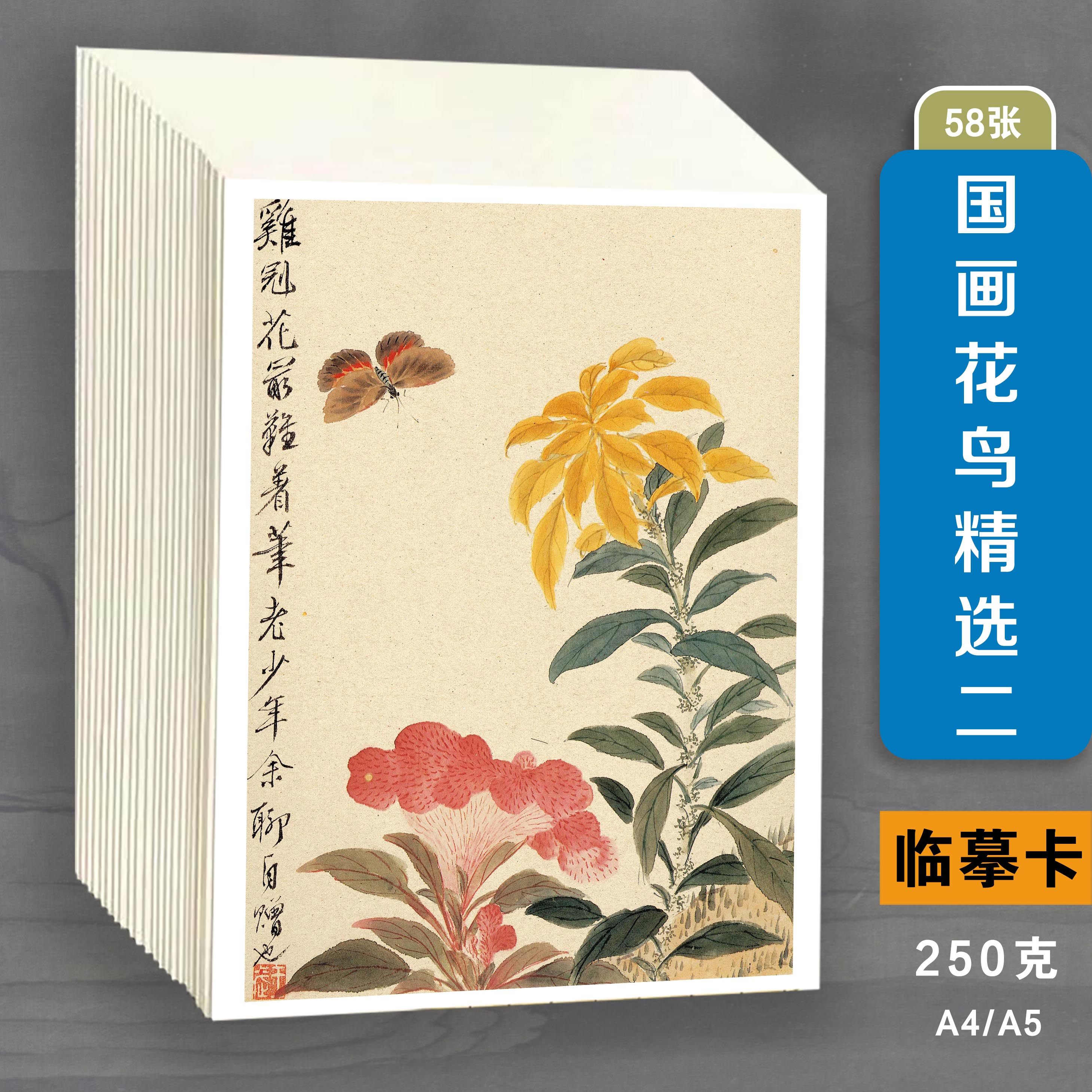 零基础国画花鸟画临摹少儿入门