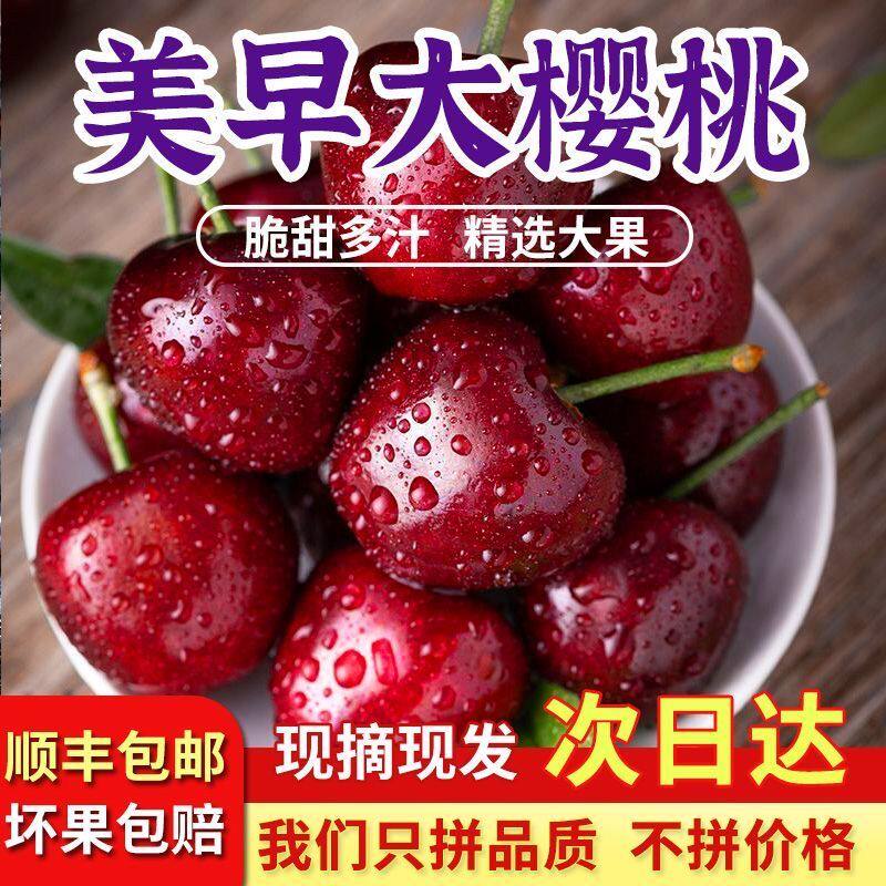 烟台美早大樱桃新鲜孕妇水果山东大樱桃顺丰冷链车厘子现摘绿色甜