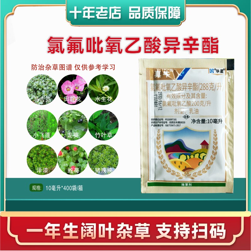 真牛氯氟吡氧乙酸异辛酯288克/升水花生马齿笕恶性阔叶除草剂农药