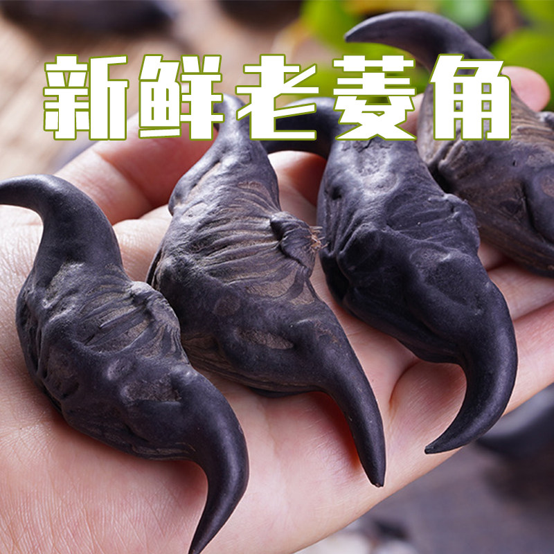 湖北洪湖菱角新鲜老菱角粉糯莲角黑菱角湖北特产菱角新鲜生棱角凌