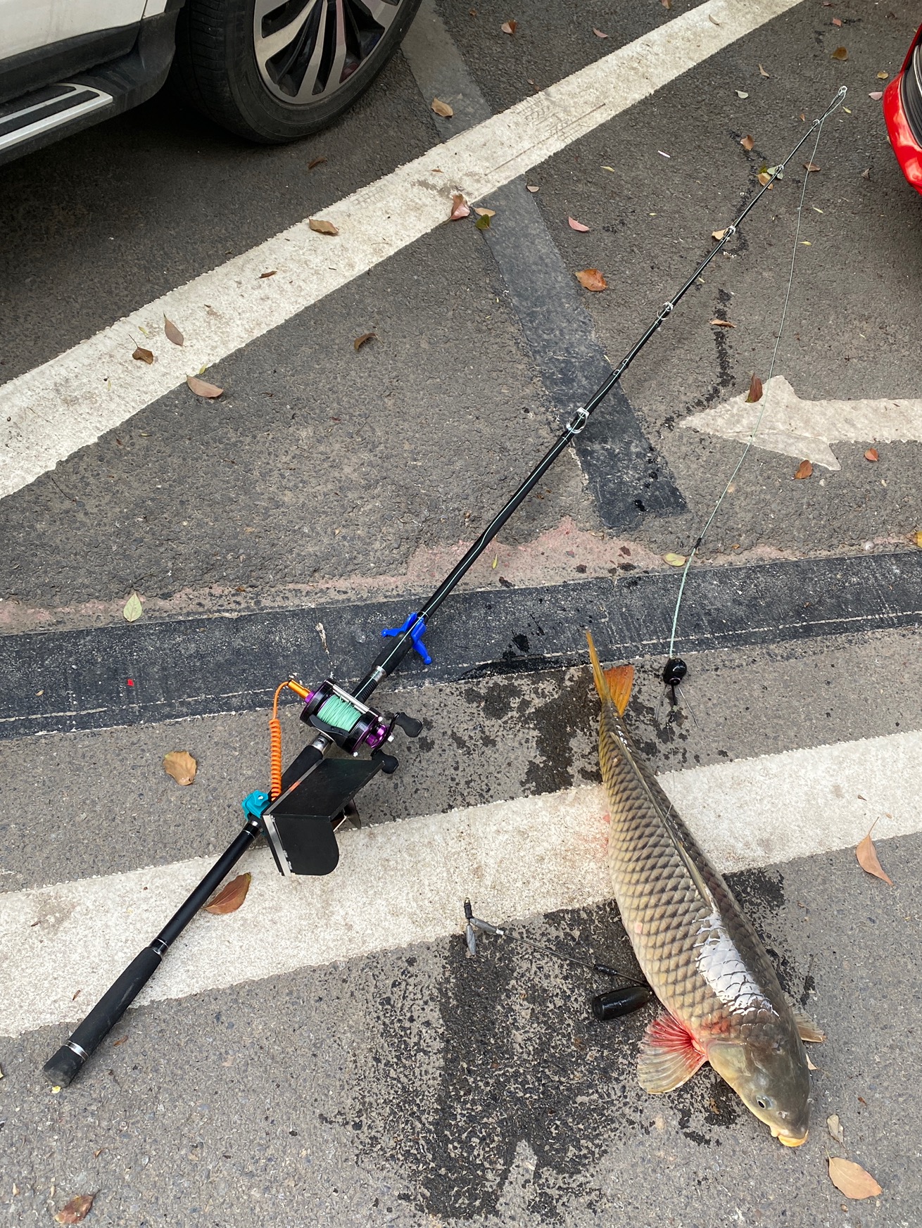 轻量化可视锚鱼套装方舟探鱼