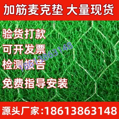 三维植被网土工网护坡高速植草加筋园林绿化环保固土植草网垫公路