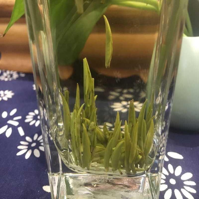 小林淘品2019年四川乐山特产犍为清溪名茶青竹叶笔峰绿茶100g包邮