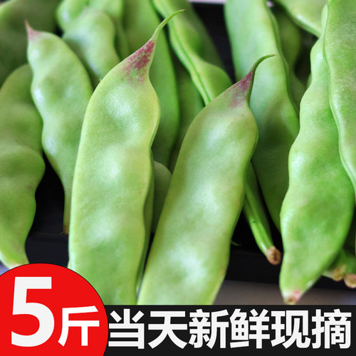 当季东北油豆角现摘新鲜蔬菜5斤一点红无筋宽豆九月青黑龙江油豆