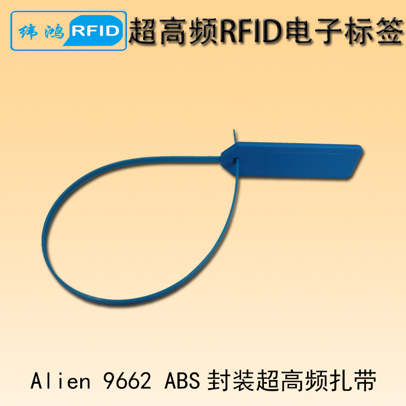电子标签RFID扎带UHF厢式货车集装箱封门ABS超高频6c射频感应扎带图片