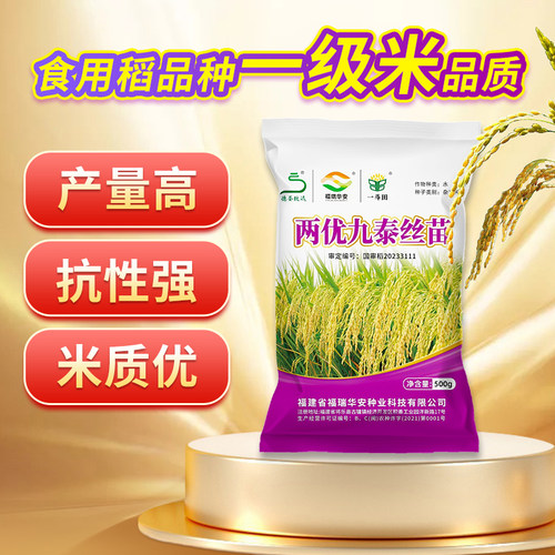 国审九泰丝苗水稻种子高产抗病