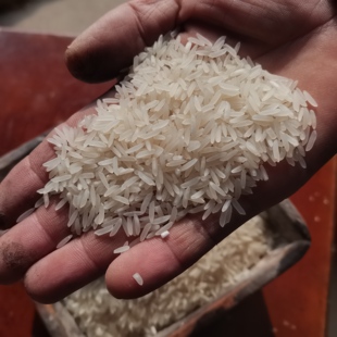 安徽农家自种大米不抛光长粒香米2025年新米不打腊乡下晚米5斤