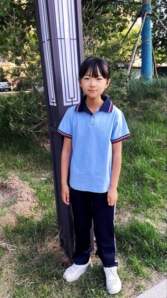 中学高中生短袖校服休闲运动纯棉浅蓝色polo衫班服夏季翻领短袖