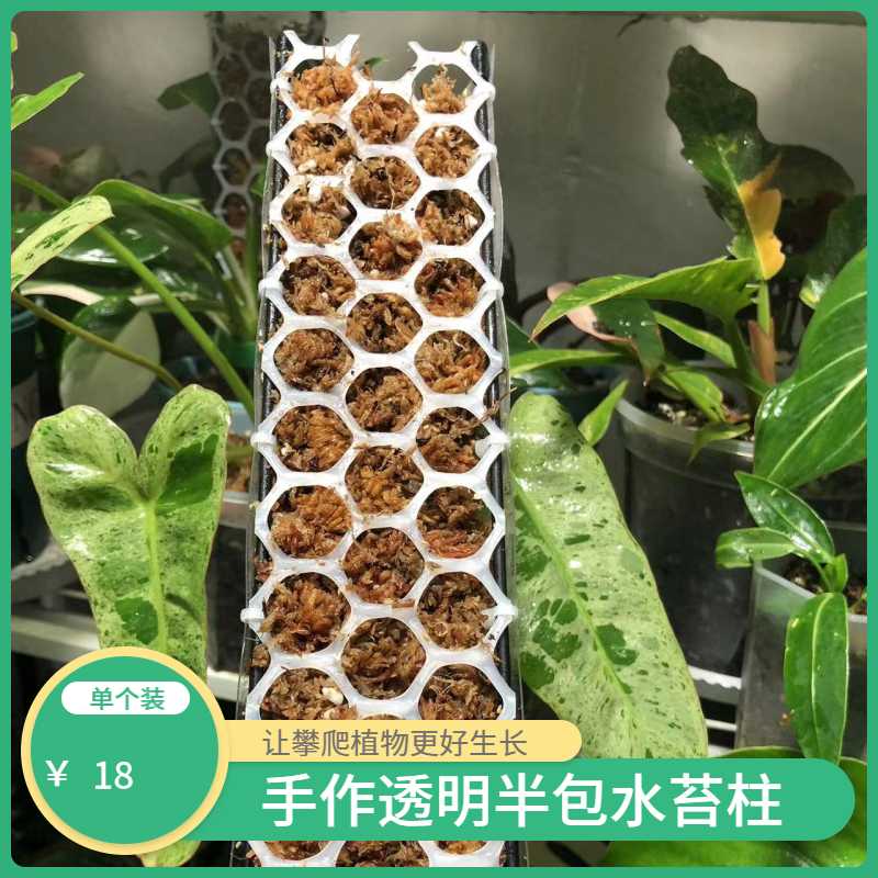 水苔柱绿植攀爬半包透明含水苔