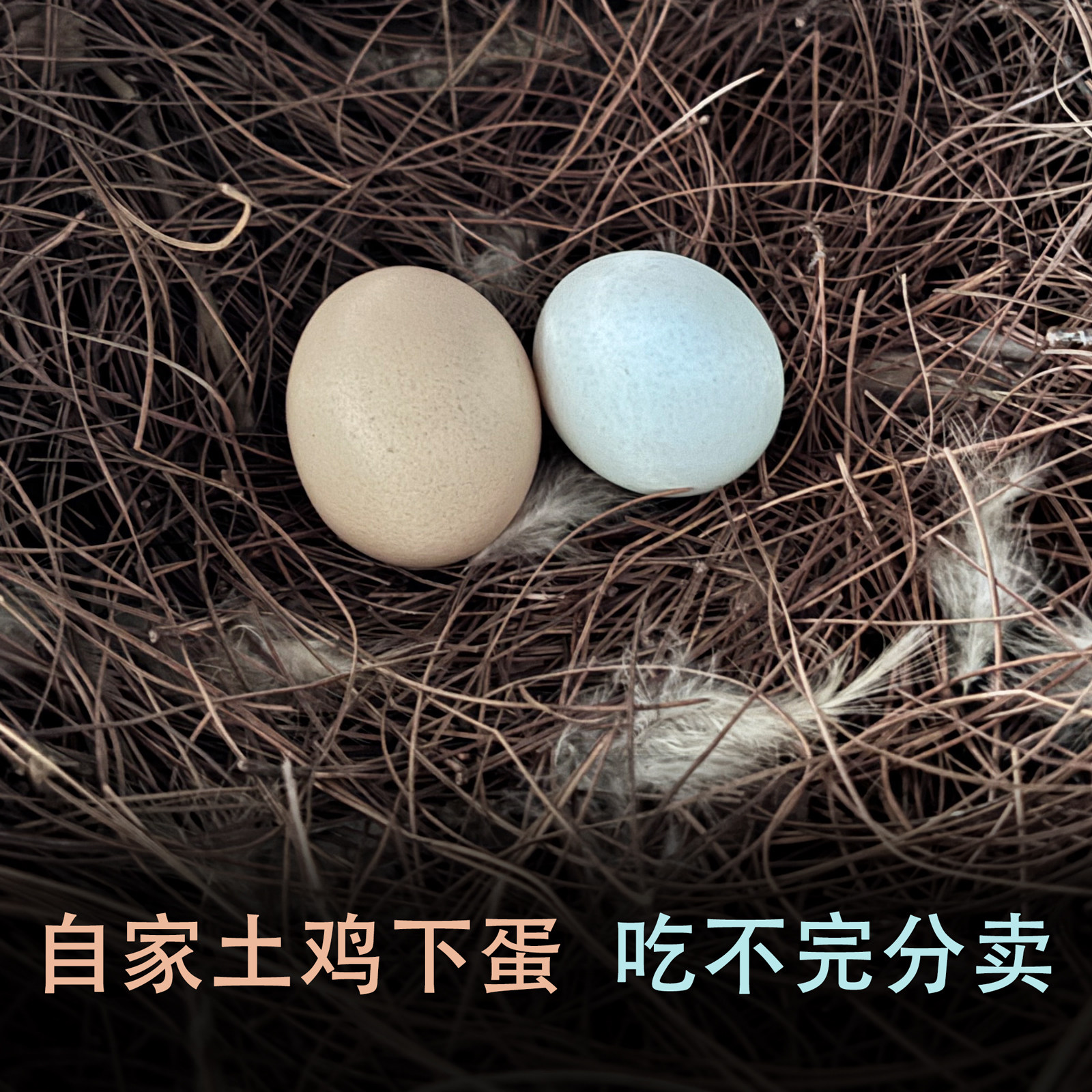 贵州大山正宗土鸡蛋农家散养土鸡蛋新鲜土鸡蛋农家土鸡蛋当日鲜蛋