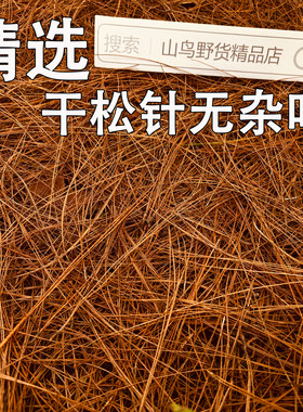 贵州新货细长马尾松干松针松叶松树落叶纯天然松毛鸟窝鸽子窝材料