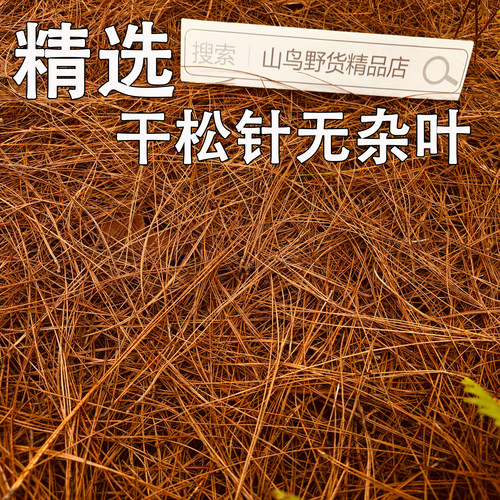 贵州新货细长马尾松干松针松叶松树落叶纯天然松毛鸟窝鸽子窝材料