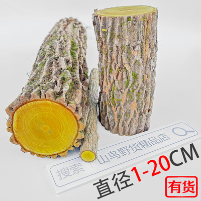 贵州野生大直径十大功劳木整根原木 手串摆件 土黄莲刺黄连中药材