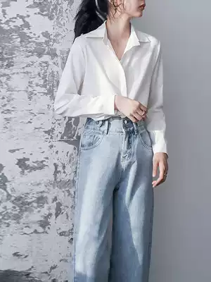 Professional chiffon shirt female spring and autumn long sleeve OL temperament dress overalls white shirt work clothes design sense top