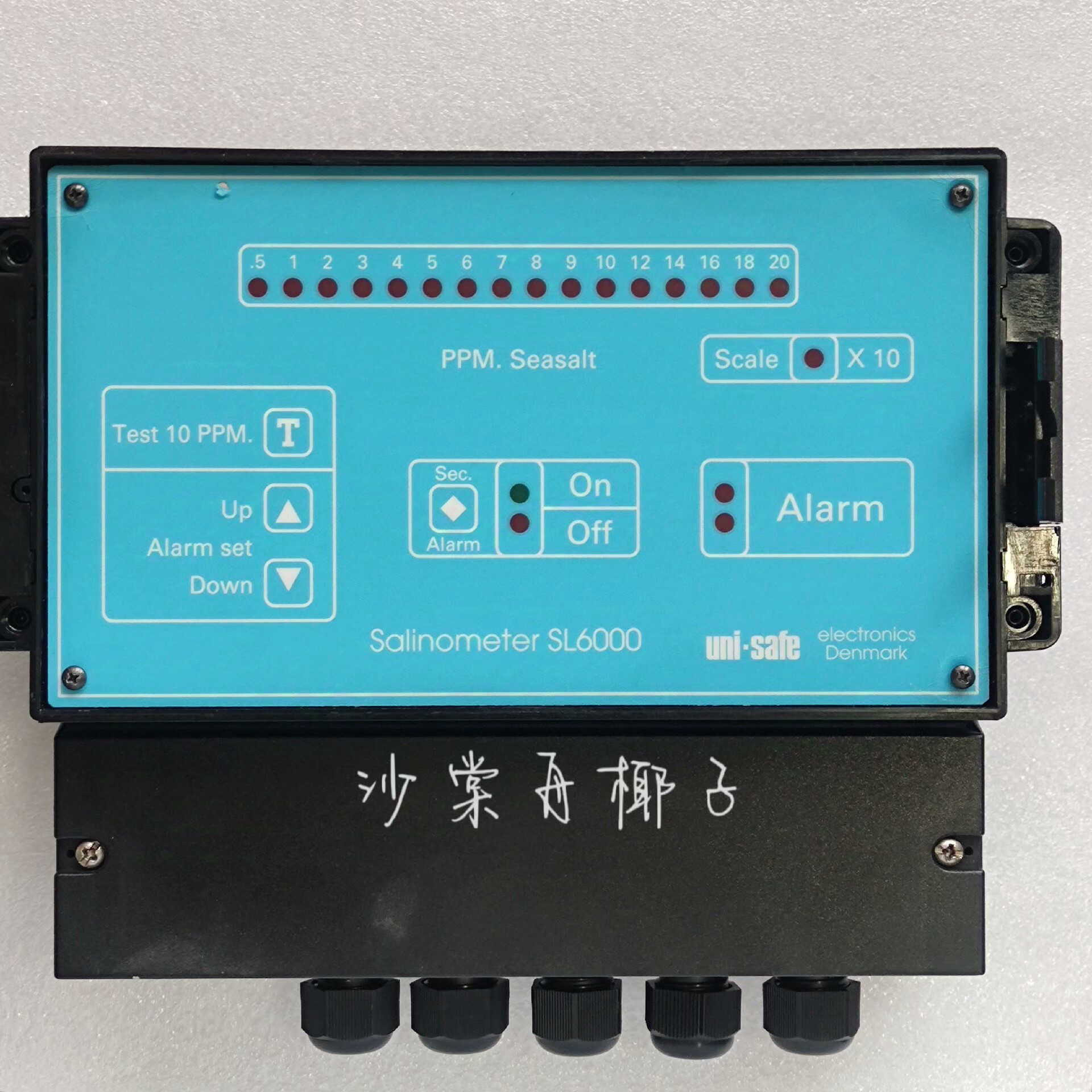 DENMARK SALINOMETER SL6000 盐度计