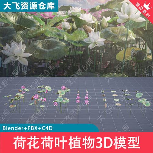 Blender荷花植物荷叶莲蓬3D模型FBX格式4K纹理