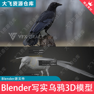 Blender高写实度腐肉乌鸦4K纹理带动画3D模型设计素材