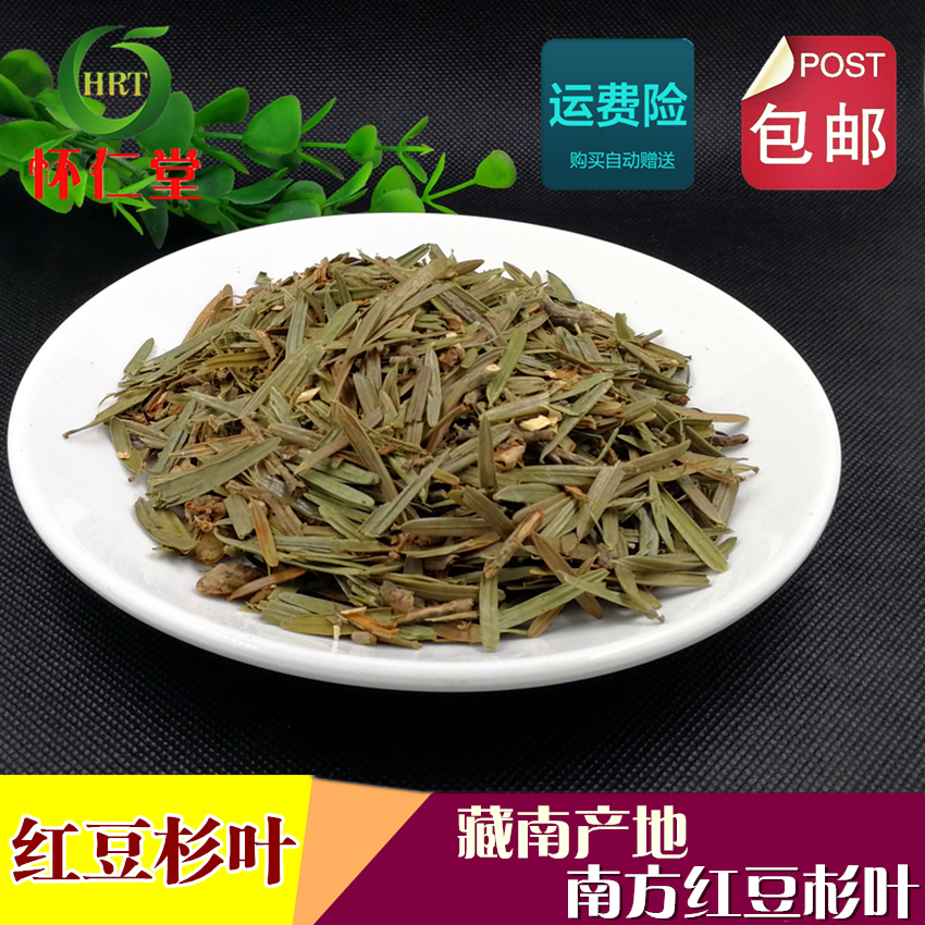 红豆杉叶茶叶子500克包邮中药材