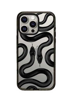 【韩国】黑色大王蛇磁吸手机壳适用苹果16Pro镜面iPhone17ProMax/AIR男14/15plus女13防摔12保护套透明