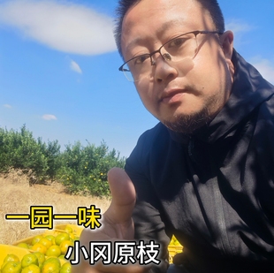 2025年生晒新会陈皮小冈原枝茶枝柑皮二红大红陈皮新鲜现摘新会柑