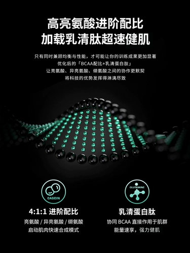 Мышечная технология BCAA разветвленная цепь аминокислотная азотная кислота азота насоса Подготовка тоника креатин глютаминовой кронштейн Аминокислота Аминокислота