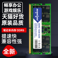 宏想笔记本电脑内存条32G 16G 8G DDR5 4800 5200 5600 6000 6400