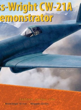 DOW-48049中国空军寇蒂斯怀特CW-21A 战斗机1/48塑料拼装飞机模型