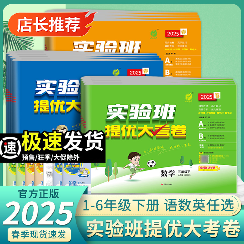 2025版实验班提优大考卷
