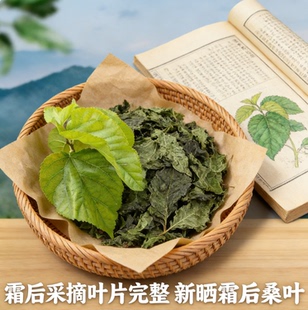 大山高端品质天然纯桑干新鲜晒干纯野生桑树叶干养蚕桑叶干桑葚叶