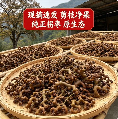 绵阳新鲜拐枣泡酒煲汤包邮