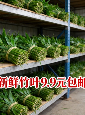 新鲜竹叶室内外装饰摆件包邮