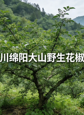 花椒木DIY磨牙棒装饰摆件