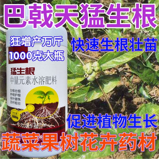 巴戟天猛生根生根壮苗剂果树蔬菜叶面肥狂生根生根液水溶肥生根粉