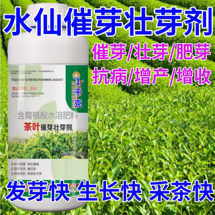 水仙茶叶面肥茶叶催芽剂催芽长嫩绿抗寒抗冻催芽素生长素叶面肥料