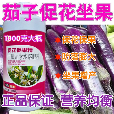 茄子促花促果授粉催花保花保果水溶肥植物膨大坐果精叶面肥坐果灵