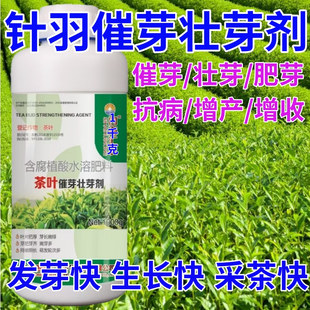 针羽茶叶面肥茶叶催芽剂催芽长嫩绿抗寒抗冻催芽素生长素叶面肥料
