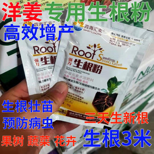 洋姜生根粉果树扦插生根壮苗剂增产营养液蔬菜药材强力生根叶面肥