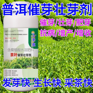 普洱茶叶面肥茶叶催芽剂催芽长嫩绿抗寒抗冻催芽素生长素叶面肥料