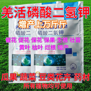羌活磷酸二氢钾果树蔬菜花卉开花专用肥料催花保果生根壮苗叶面肥