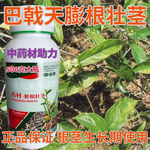 巴戟天膨根壮茎灌根肥营养肥根茎粗壮生根壮苗药材根茎块茎膨大素