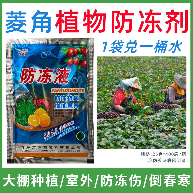 菱角专用防冻剂植物防冻剂防冻抗寒增产叶面肥蔬菜果树预防倒春寒
