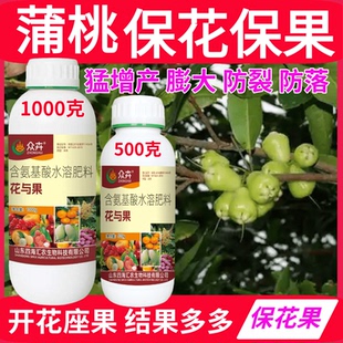 蒲桃保花保果座果防落果花与果催花授粉坐果精控旺膨果防裂膨大素