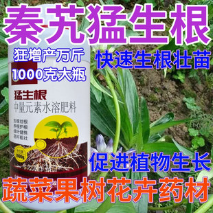 秦艽猛生根生根壮苗剂果树蔬菜叶面肥狂生根生根液水溶肥料生根粉