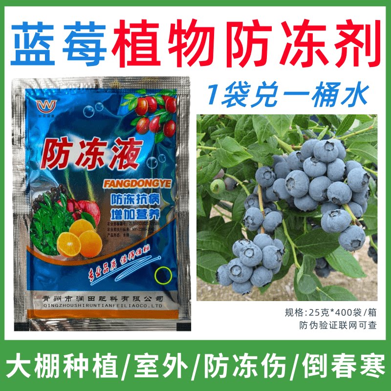 蓝莓专用防冻剂植物防冻剂防冻抗寒增产叶面肥蔬菜果树预防倒春寒