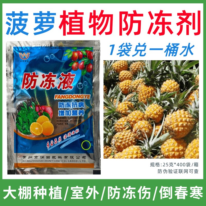 菠萝专用防冻剂植物防冻液防冻抗寒增产叶面肥蔬菜果树预防倒春寒