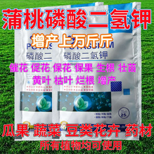 蒲桃磷酸二氢钾果树蔬菜花卉开花专用肥料催花保果生根壮苗叶面肥