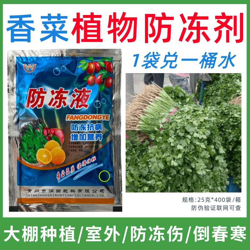 香菜专用防冻剂植物防冻剂防冻抗寒增产叶面肥蔬菜果树预防倒春寒
