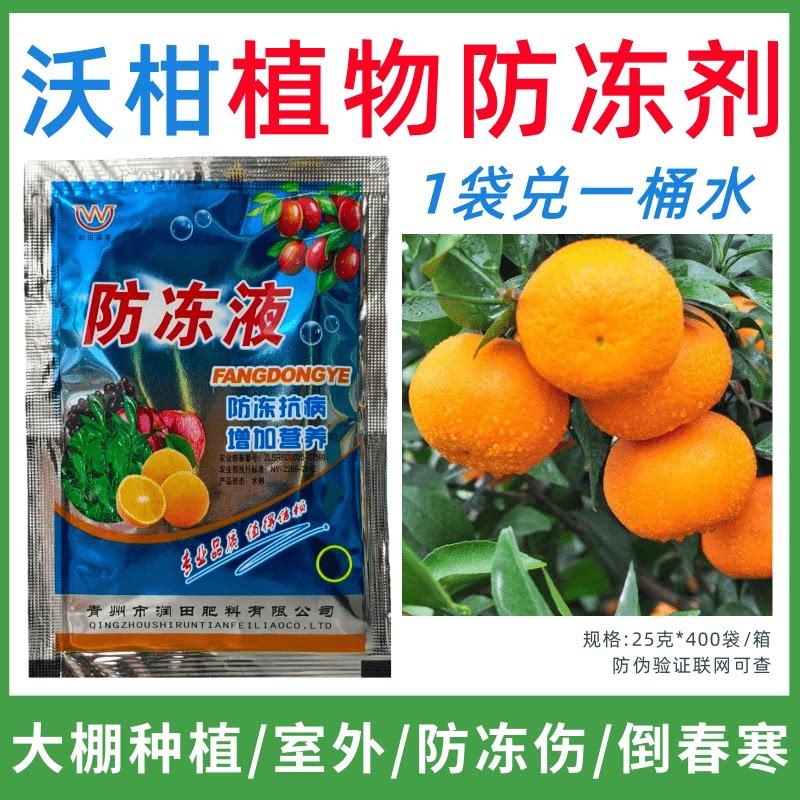 沃柑专用防冻剂植物防冻剂防冻抗寒增产叶面肥蔬菜果树预防倒春寒