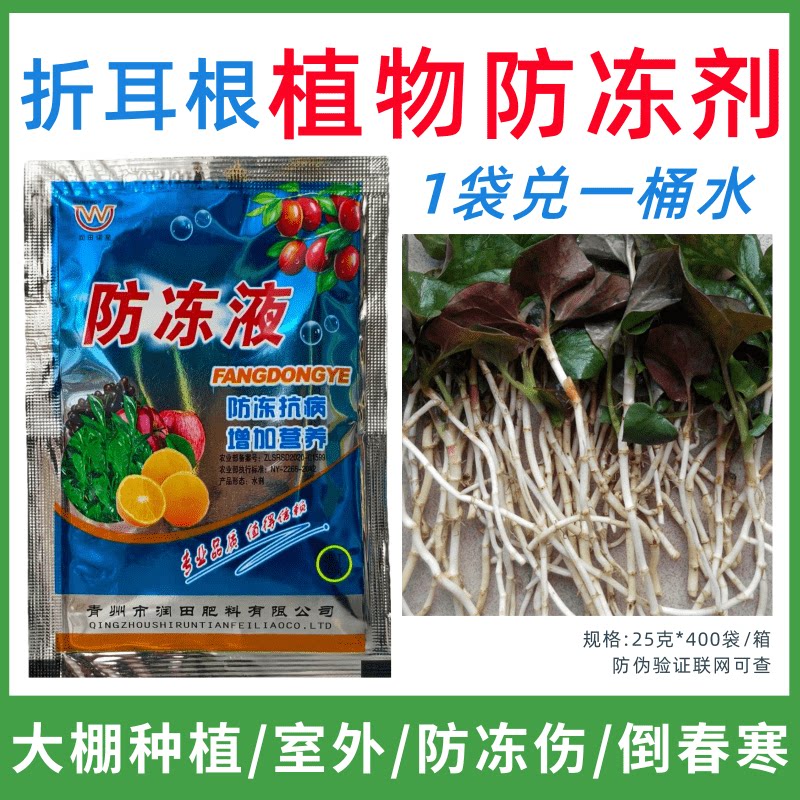 折耳根专用防冻剂植物防冻剂防冻害增产叶面肥蔬菜果树预防倒春寒
